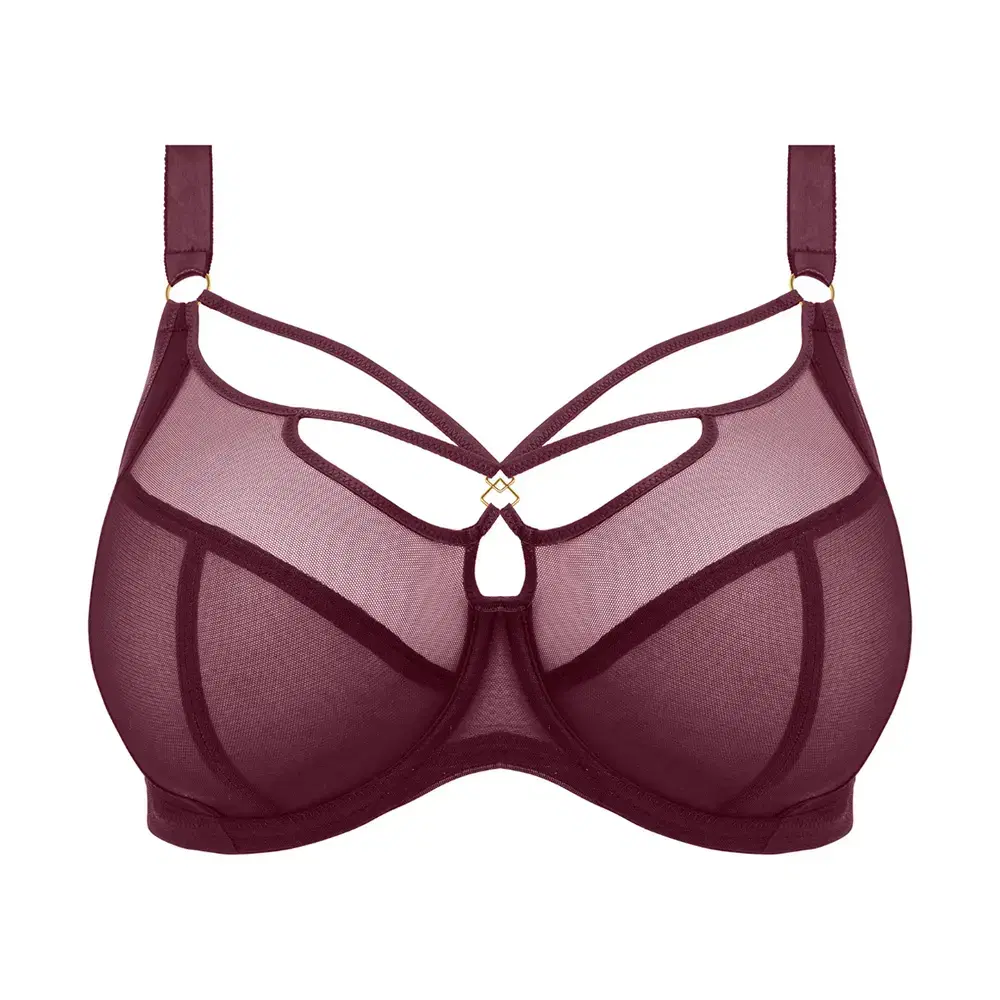 Sachi Cabernet